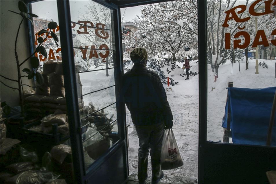 Tea house owner feeds birds every morning for 30 years in Turkey's Van