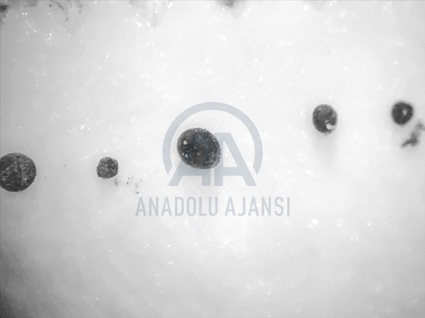 Antarctica: Turkish scholar collects 10,000+ meteoroids