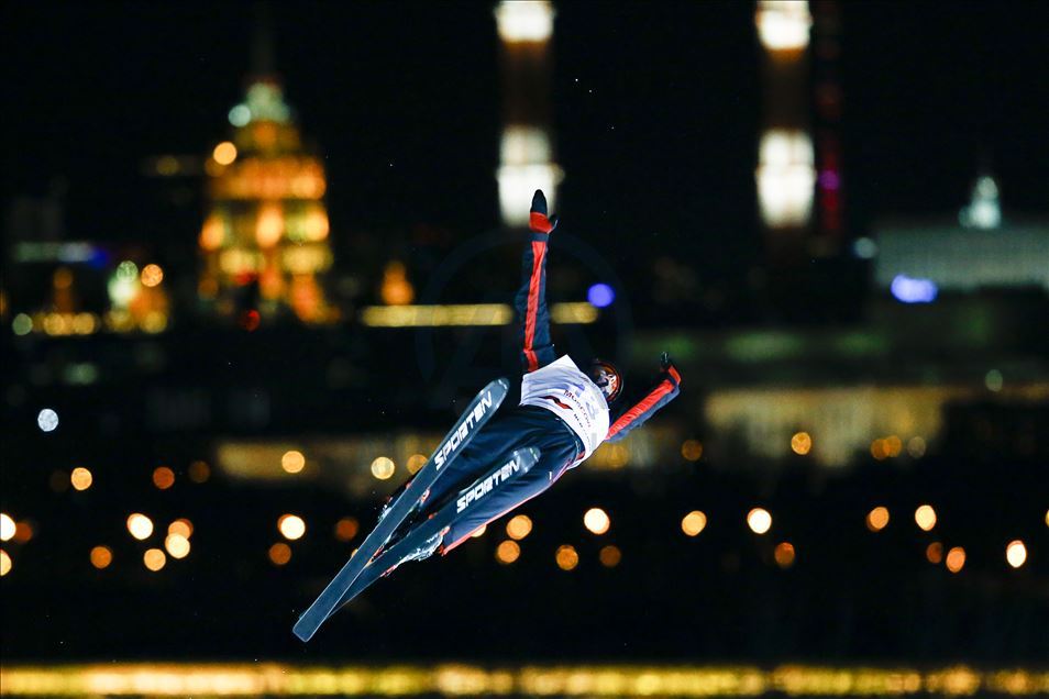 FIS Freestyle Skiing World Cup