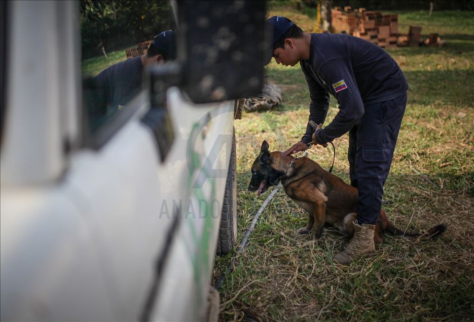 Mine Detection Dogs: Training, Operations at the Colombian Jungle