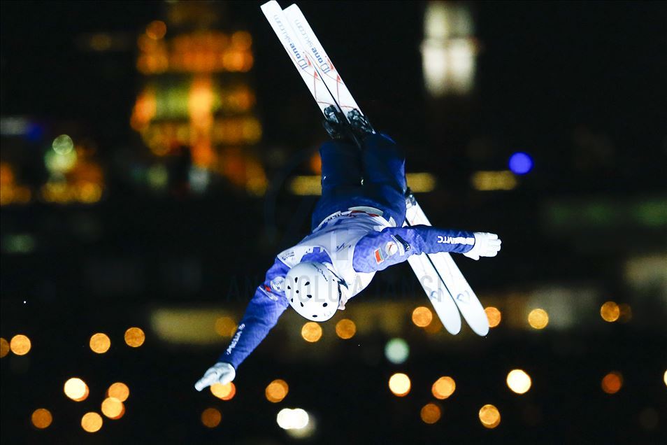 FIS Freestyle Skiing World Cup
