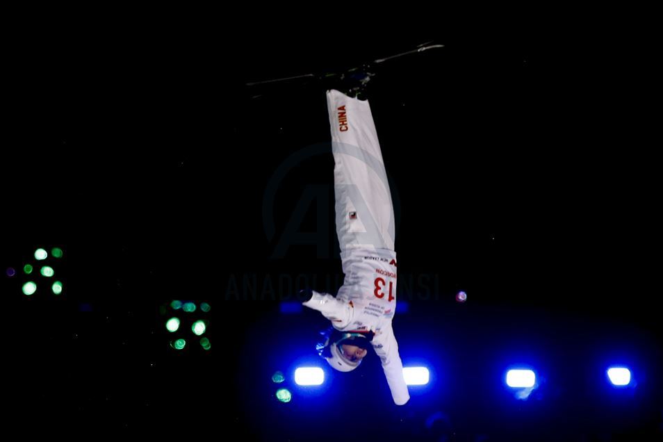 FIS Freestyle Skiing World Cup