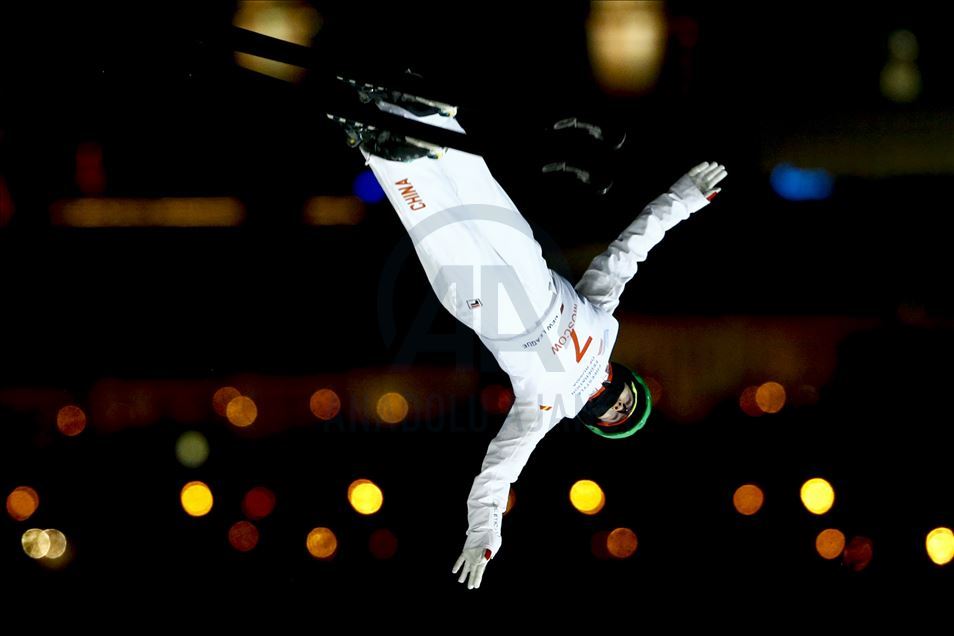 FIS Freestyle Skiing World Cup