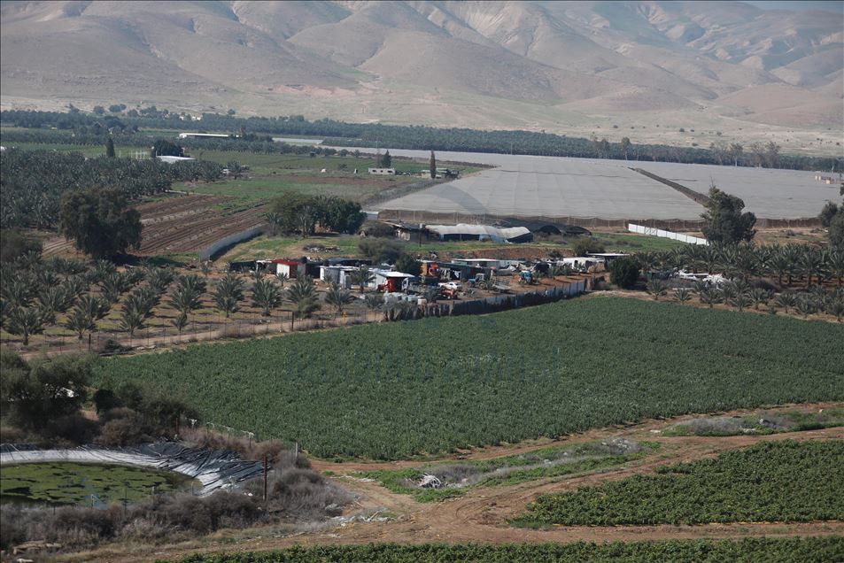 بعد منع التصدير... إسرائيل تضرب الزراعة الفلسطينية في مقتل