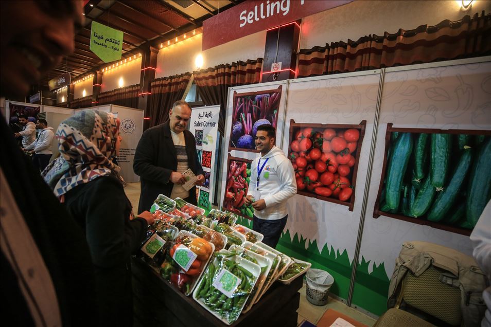 غزة.. انطلاق معرض للمنتجات الزراعية الآمنة
