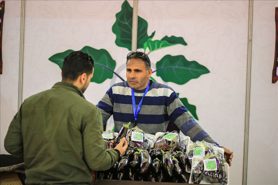 غزة.. انطلاق معرض للمنتجات الزراعية الآمنة
