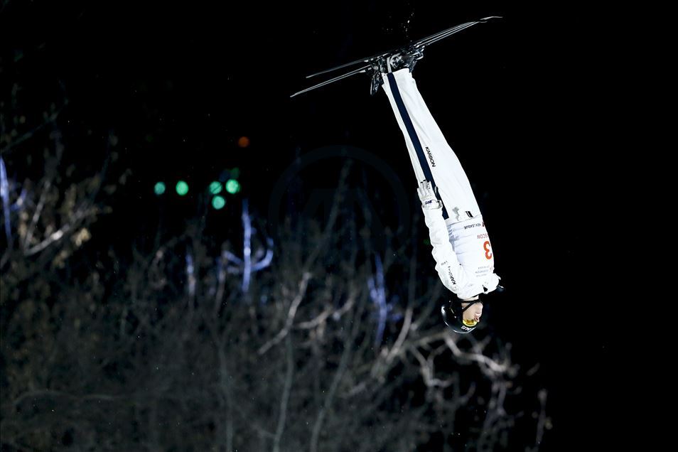 FIS Freestyle Skiing World Cup