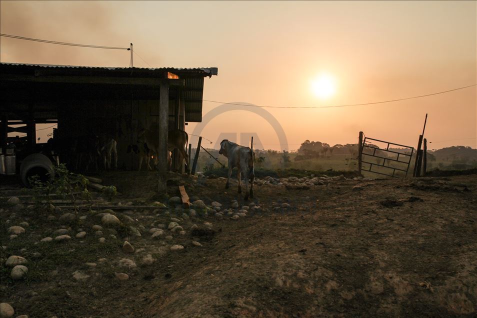 Atardecer en Caquetá, Colombia