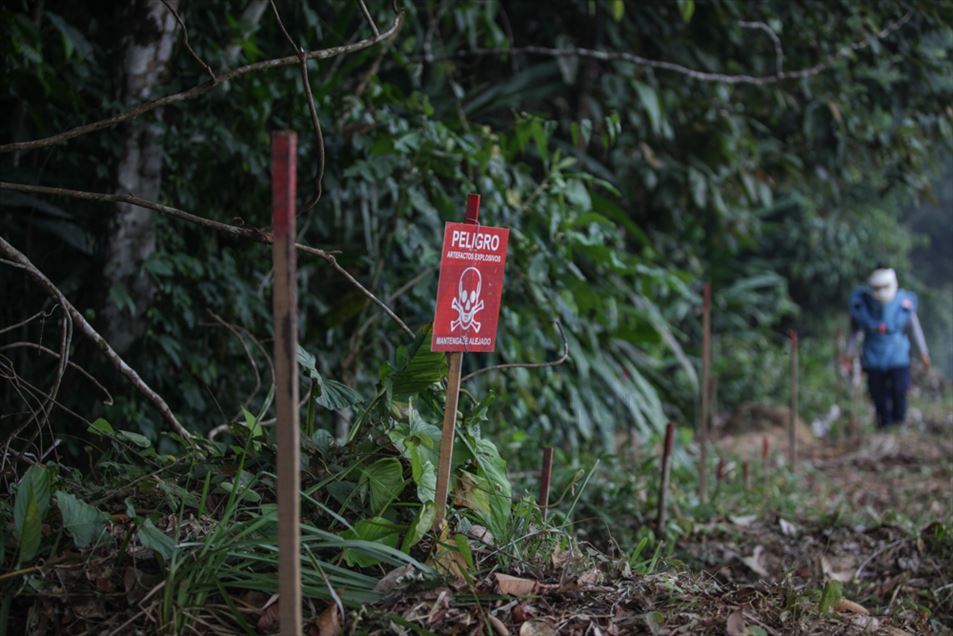 Equipo de desminado de mujeres en la selva del sur de Colombia