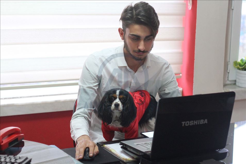 3 bin 500 sokak hayvanına sosyal medyadan sıcak yuva buldular
