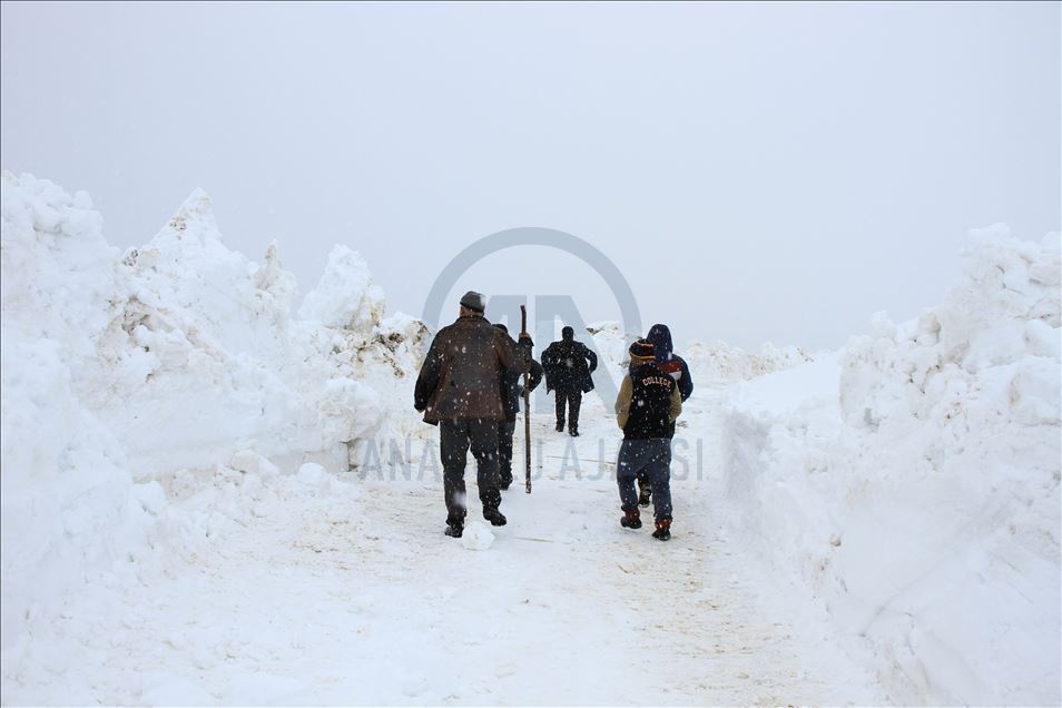 Bitlis'te kardan dolayı ulaşıma kapanan köy yolları açılıyor