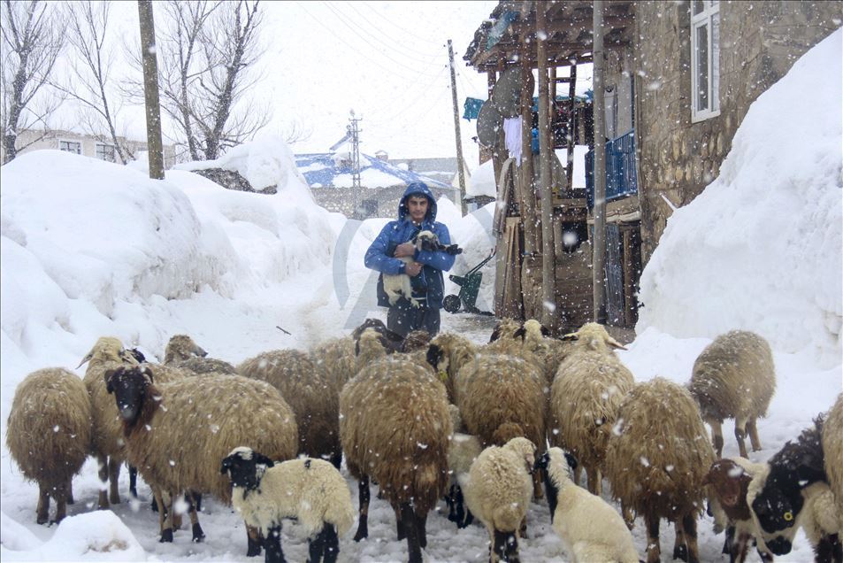 Tunceli'de kış