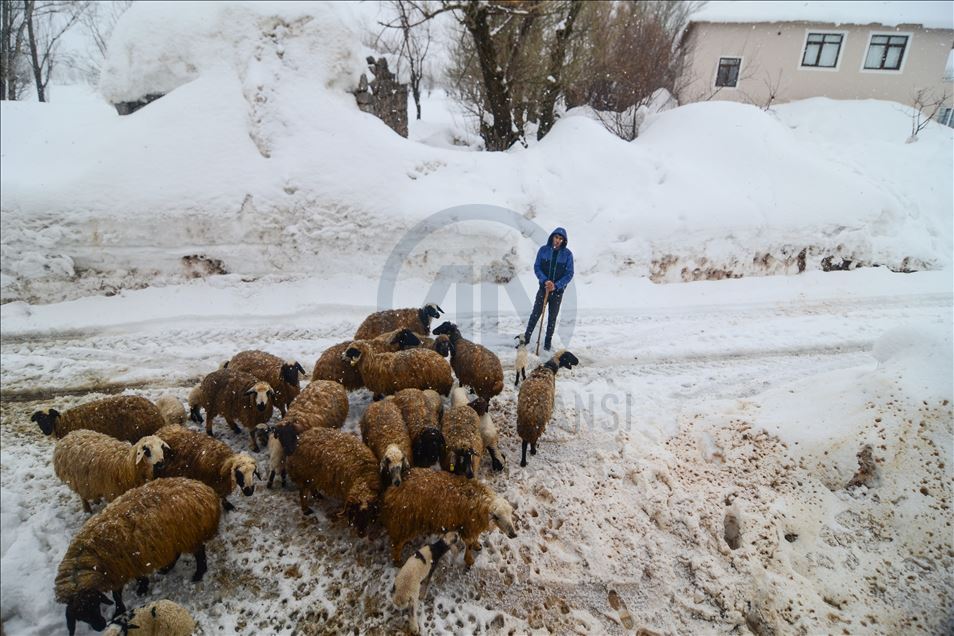 Tunceli'de kış