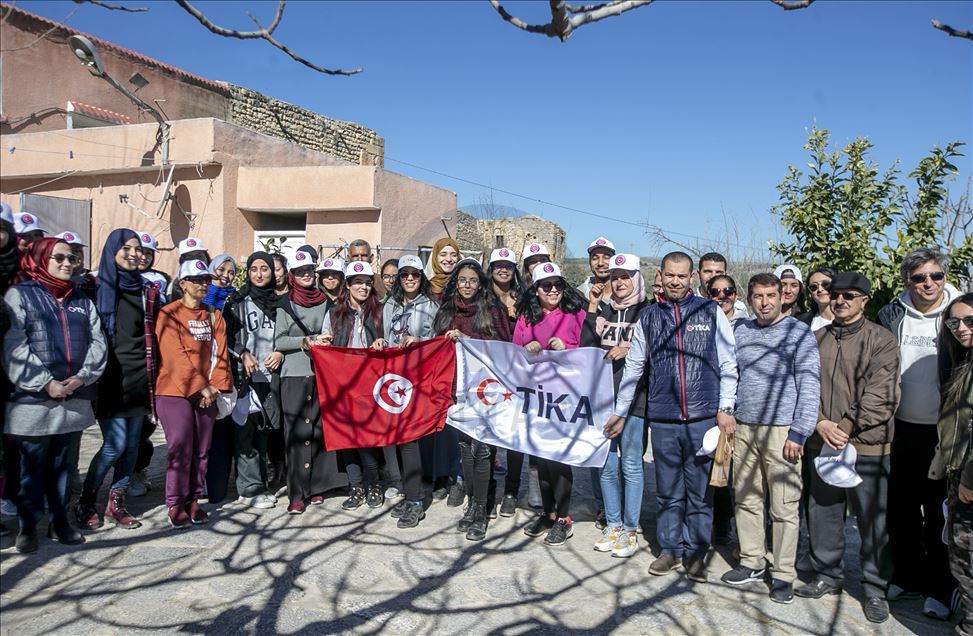 2700 شتلة زيتون من "تيكا" التركية لصغار الفلاحين في تونس
