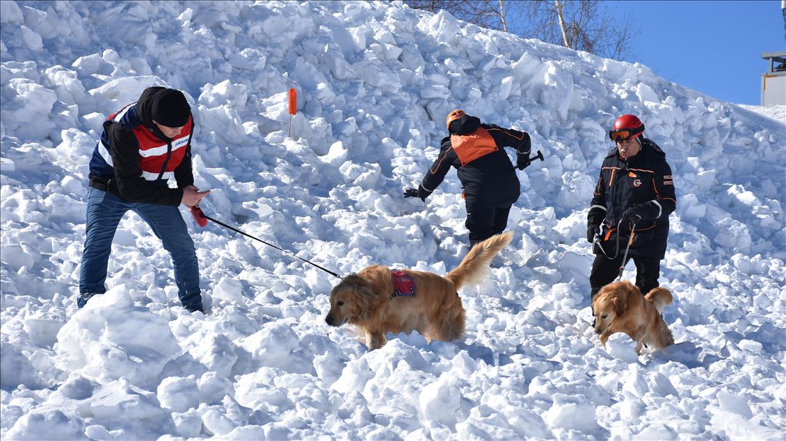 Erciyes Kayak Merkezi'nde çığ tatbikatı yapıldı