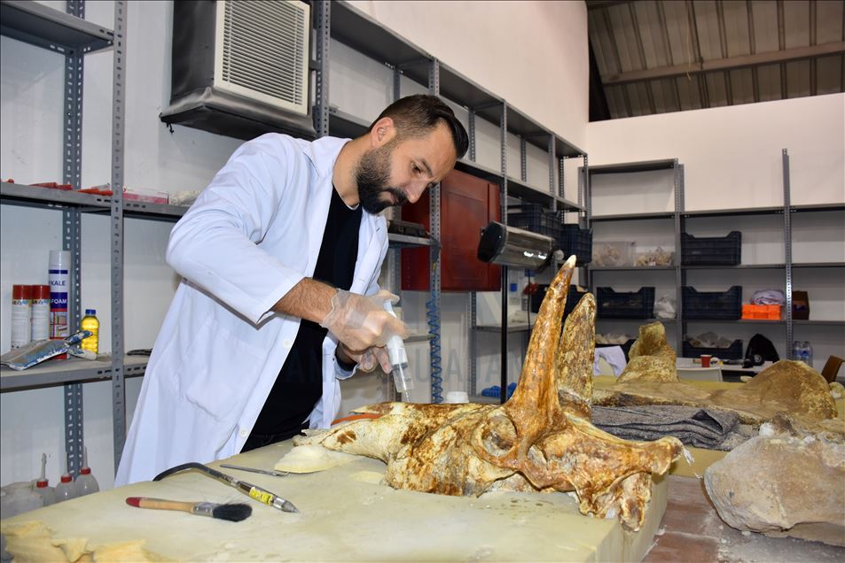 عمرها ملايين الأعوام.. اكتشاف أحافير نادرة في قيصري التركية