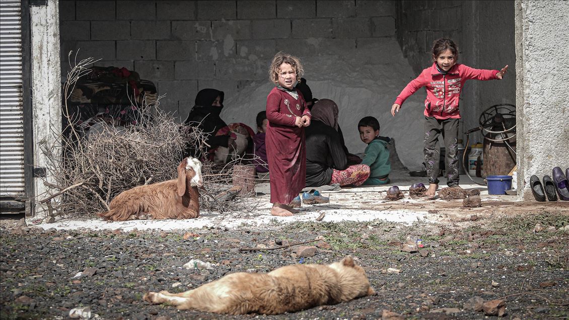 Syrian civilians struggle to live in Jisr al-Shughur