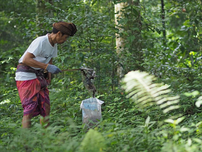 Environmental activists collect wastes in Bali forest
