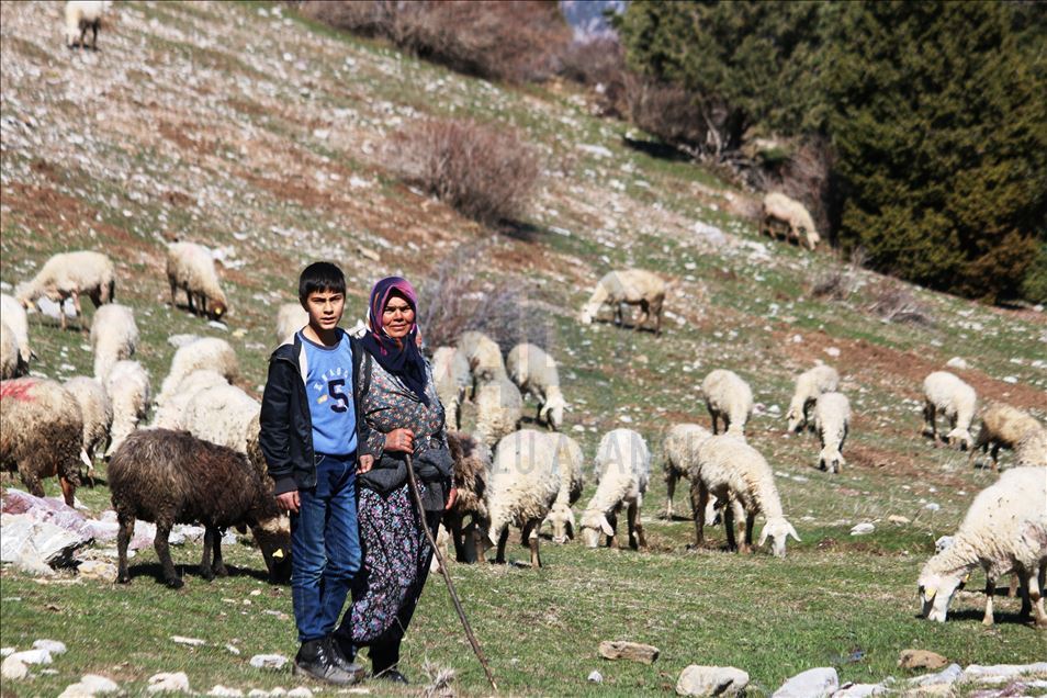 Oğlu ile Toroslar'da koyun sürüsü otlatan kadın ailesinin geçimini sağlıyor