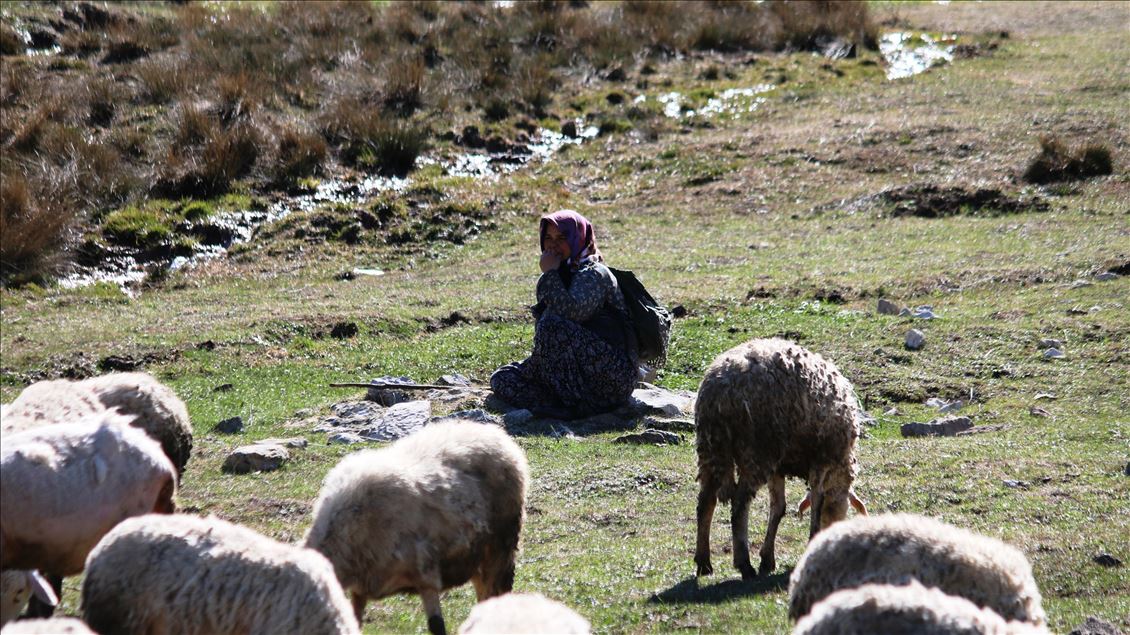 Oğlu ile Toroslar'da koyun sürüsü otlatan kadın ailesinin geçimini sağlıyor