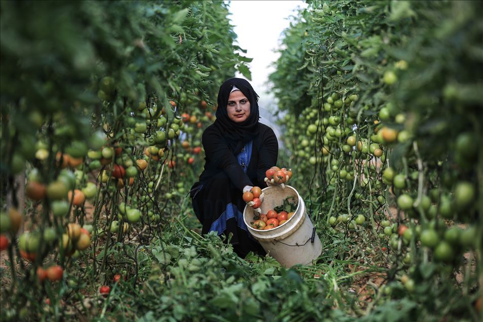 روز جهانی زن در نوار غزه 