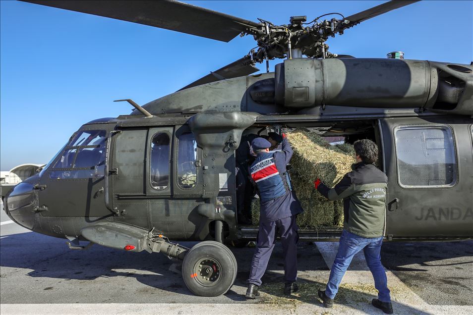 Jandarma yaban keçileri için karlı dağlara helikopterle 1 ton ot bıraktı
