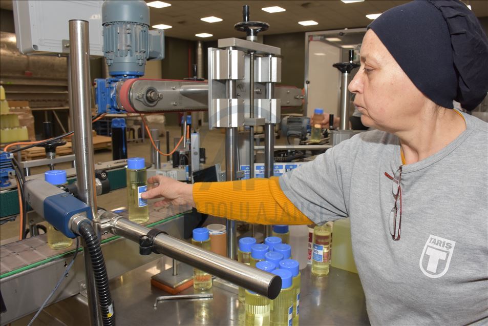 Tariş mesaisinin yarısını "cep" tipi kolonyaya ayırdı
