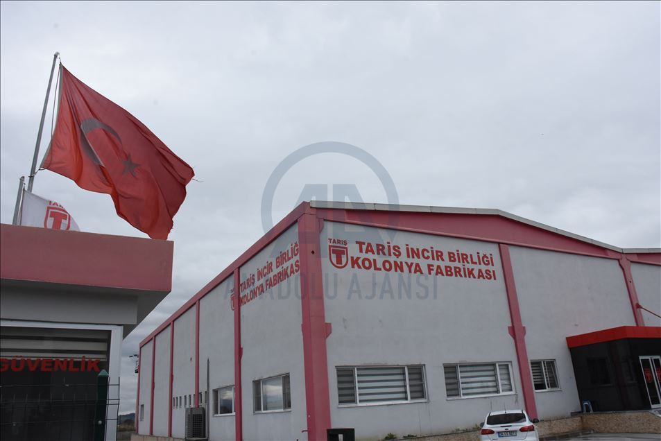 Tariş mesaisinin yarısını "cep" tipi kolonyaya ayırdı