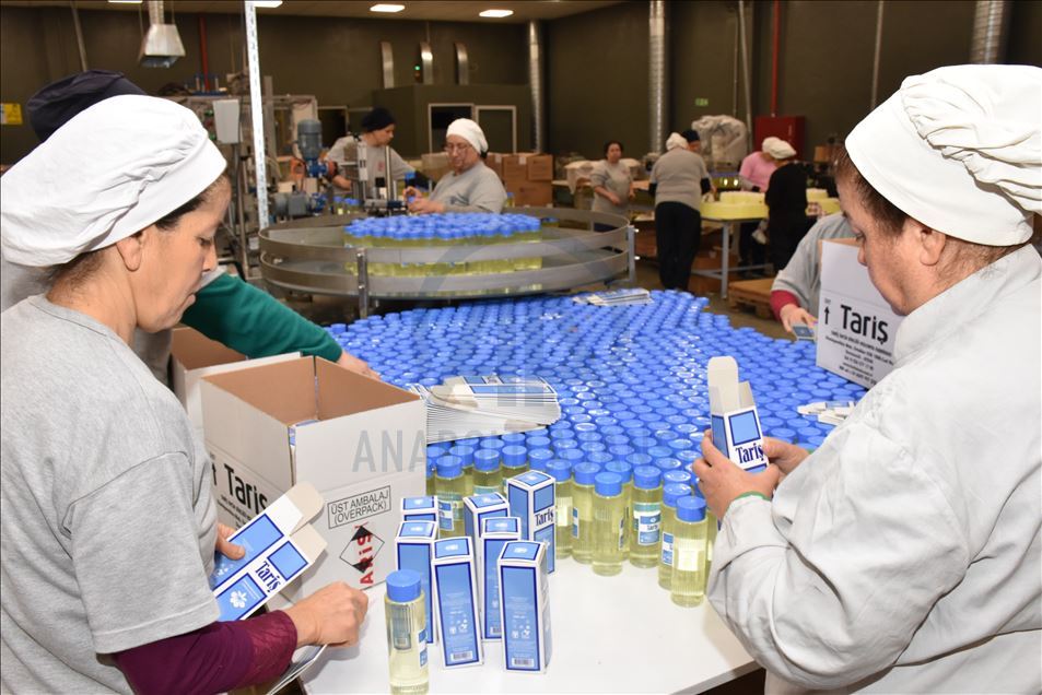 Tariş mesaisinin yarısını "cep" tipi kolonyaya ayırdı

