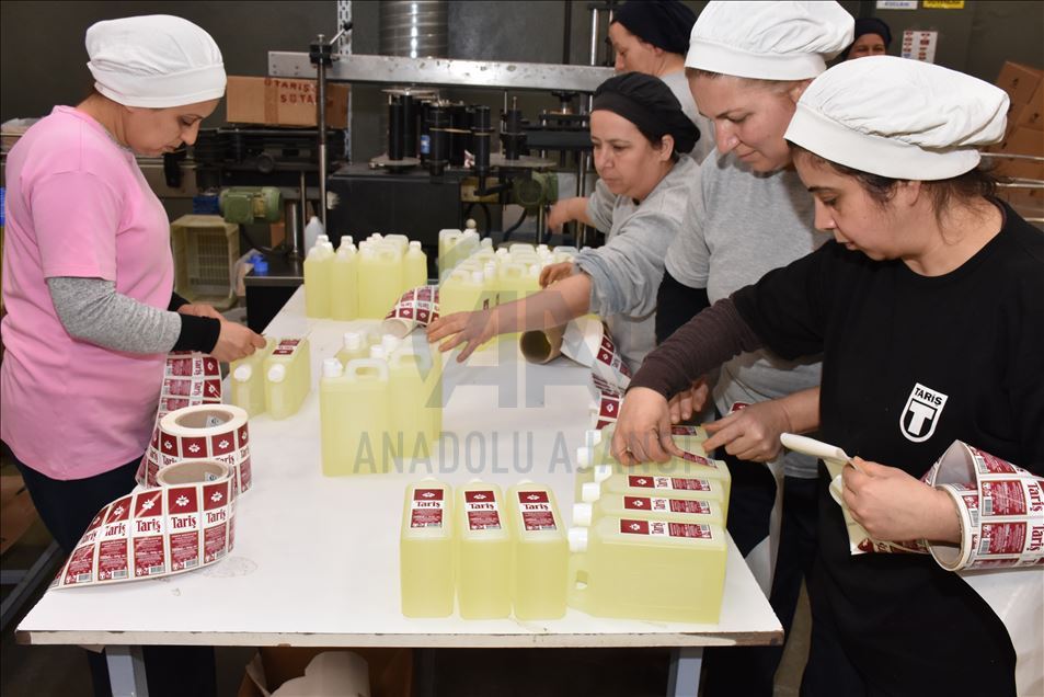 Tariş mesaisinin yarısını "cep" tipi kolonyaya ayırdı
