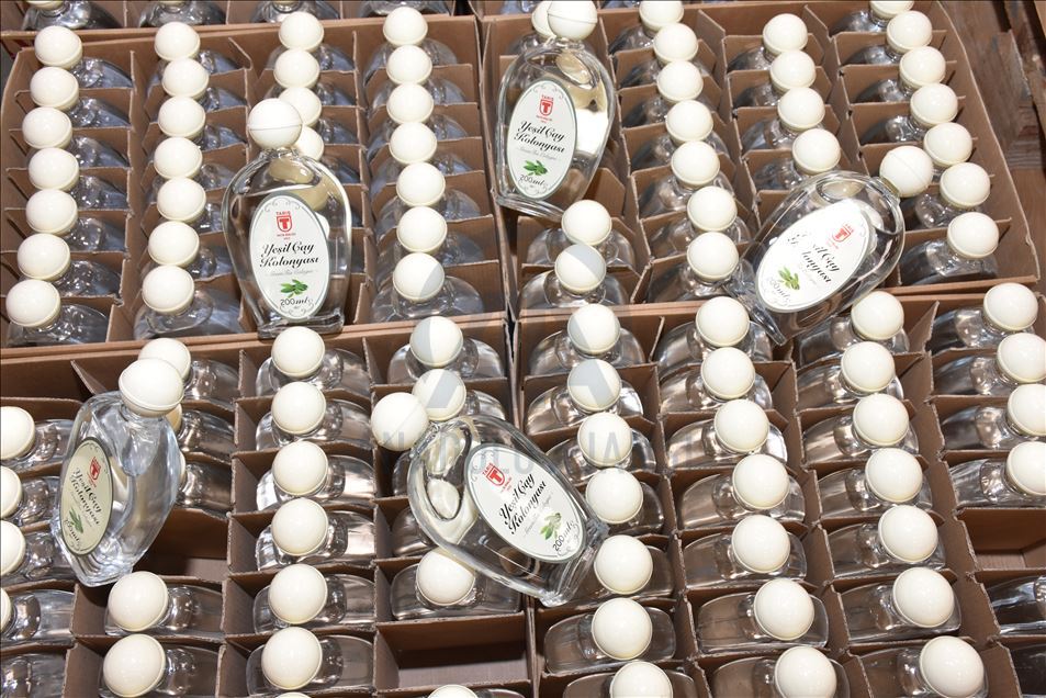 Tariş mesaisinin yarısını "cep" tipi kolonyaya ayırdı
