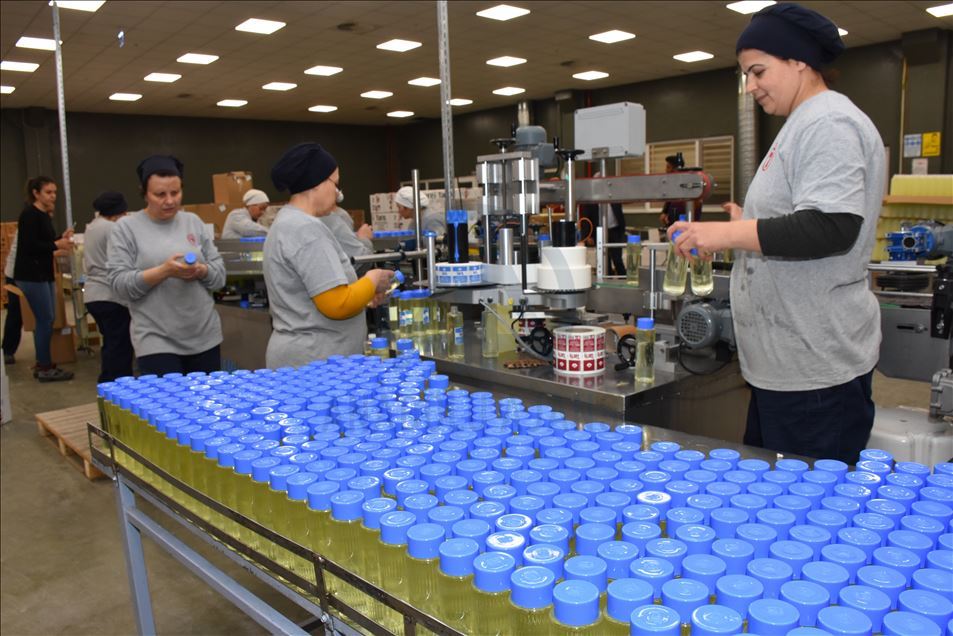 Tariş mesaisinin yarısını "cep" tipi kolonyaya ayırdı
