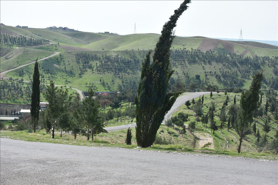 ھەولێر لە رۆژی نەورۆزدا