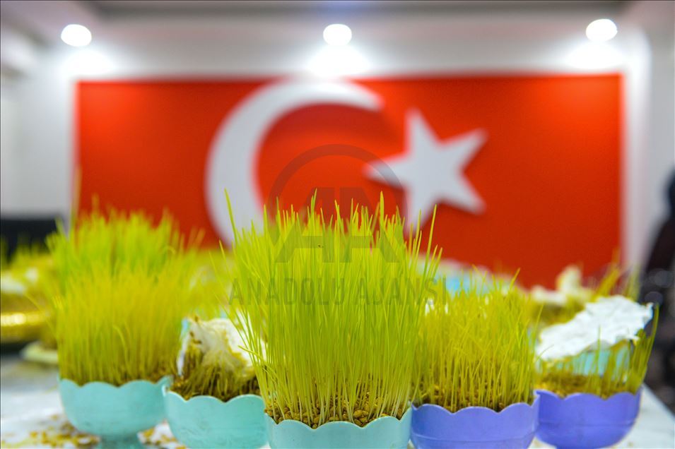 Anadolu'da baharın, bereketin ve birliğin sembolü: "Semeni"