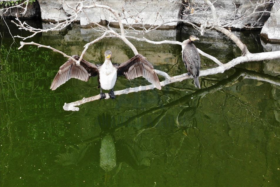 La belleza del cañon de Atala en Turquía