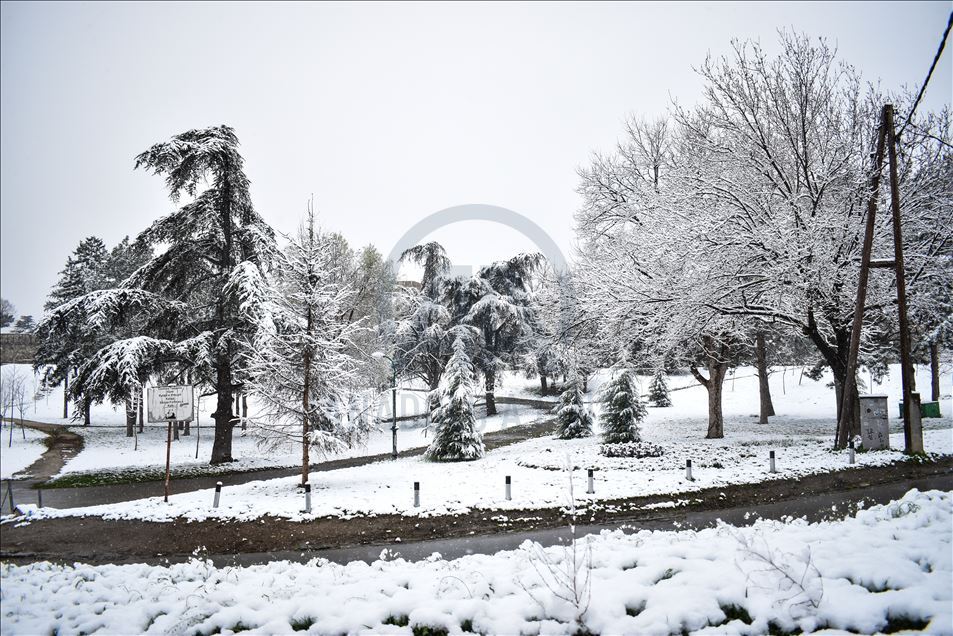 Bie bora e parë në Shkup