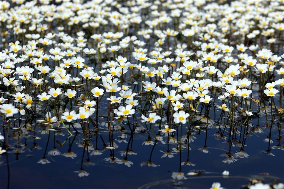 مناظر زیبای دریاچه حیدرلار در آستانه فصل بهار

