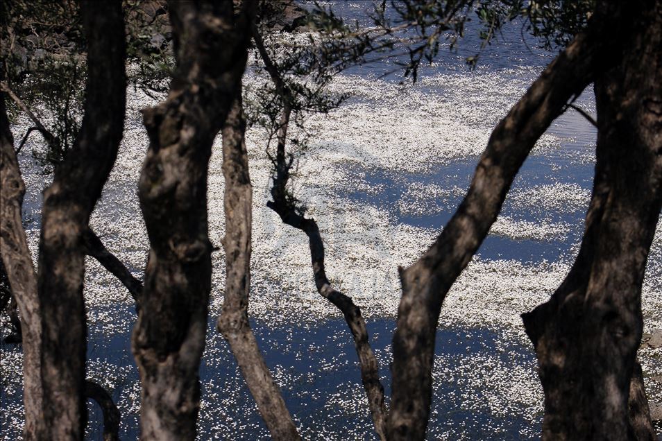 مناظر زیبای دریاچه حیدرلار در آستانه فصل بهار
