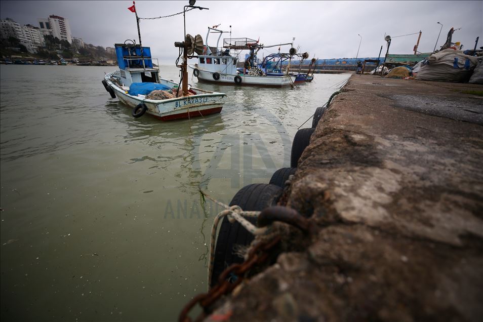 Batı Karadeniz'de balıkçılar erken "paydos" demeye hazırlanıyor