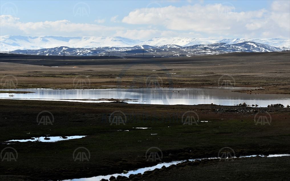 Li Qersê tebîet bi çivîkan şên bû