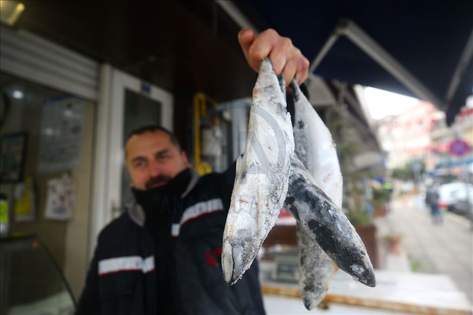 Batı Karadeniz'de balıkçılar erken "paydos" demeye hazırlanıyor