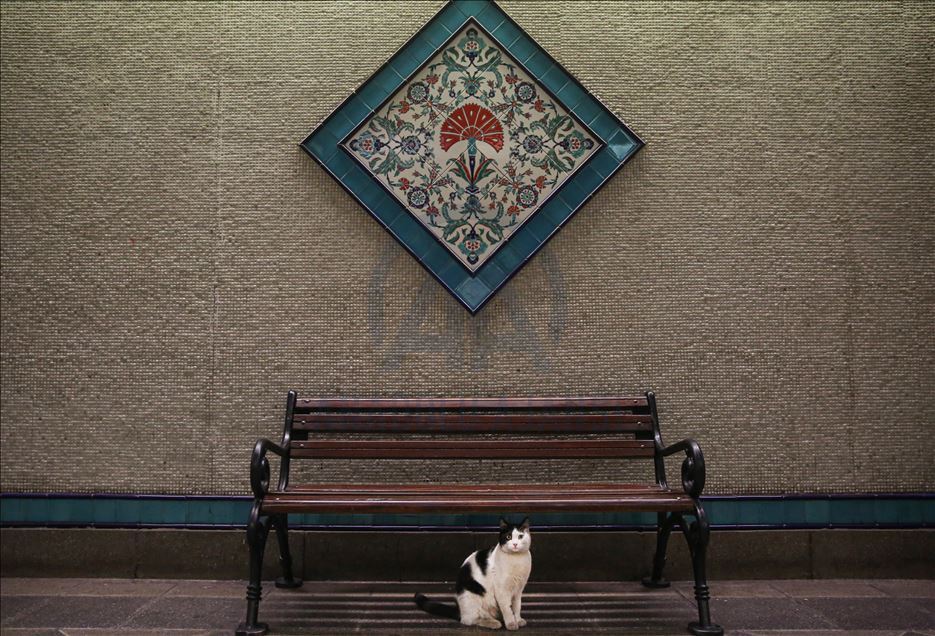 Historical and touristic places in Istanbul remain quite due to coronavirus pandemic
