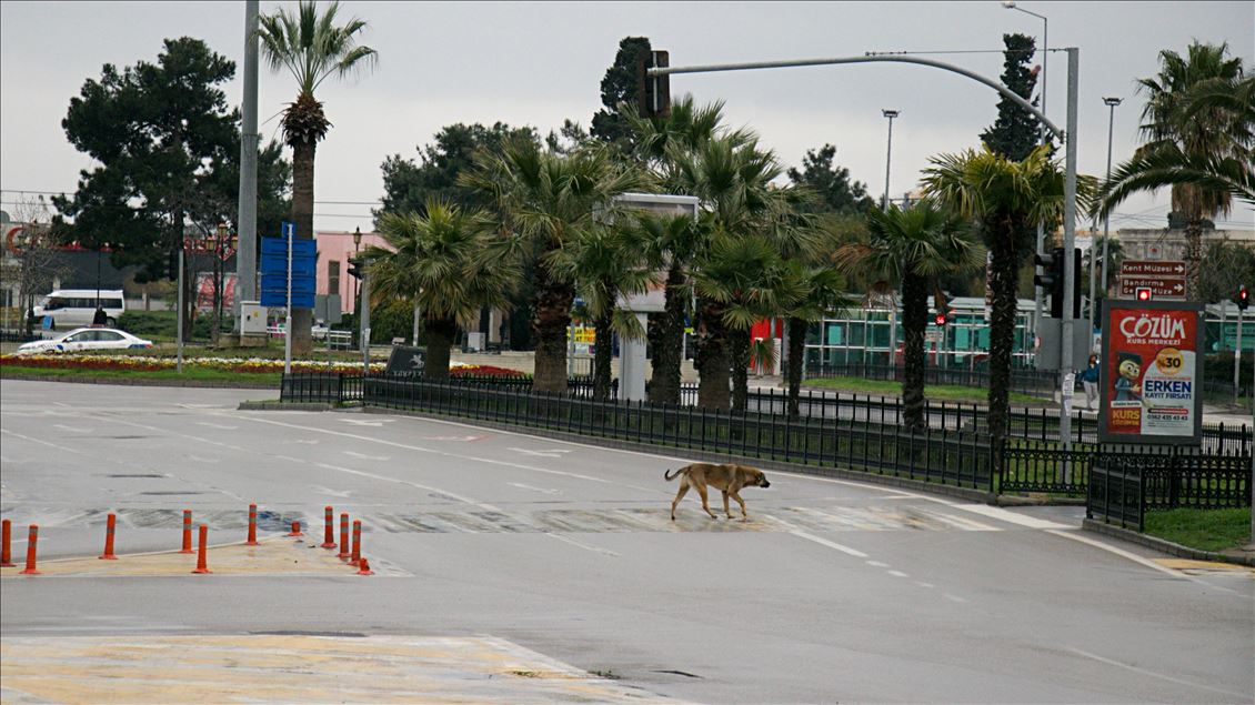 Samsun'da "Evde kal" çağrısına uyuluyor