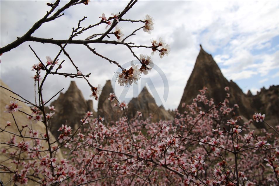 La primavera llega a Capadocia, Turquía