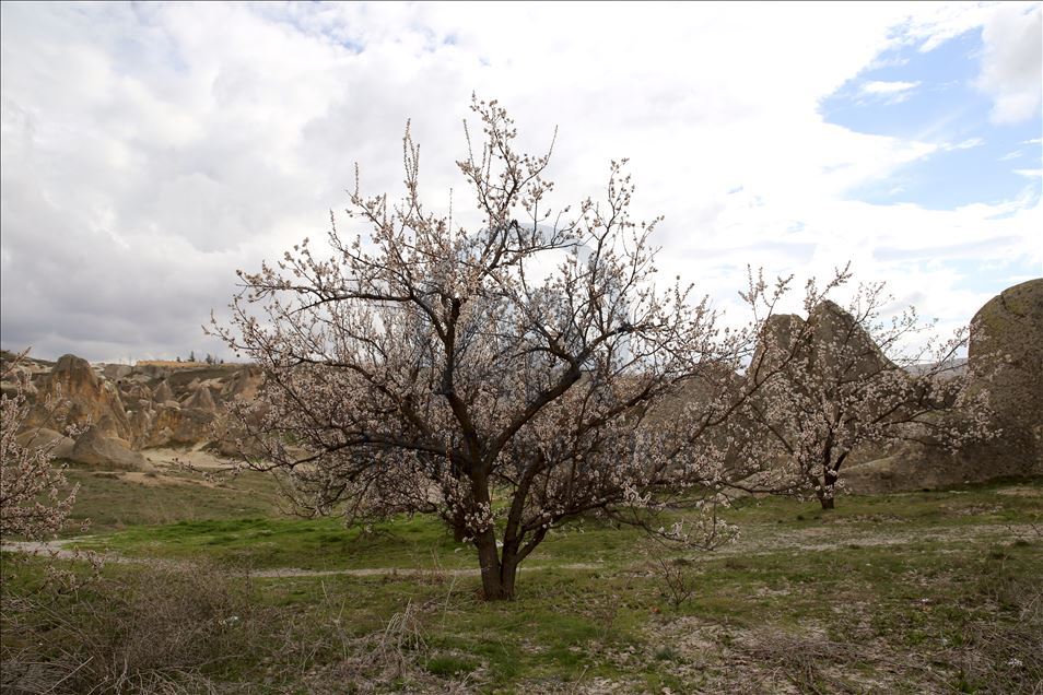 La primavera llega a Capadocia, Turquía