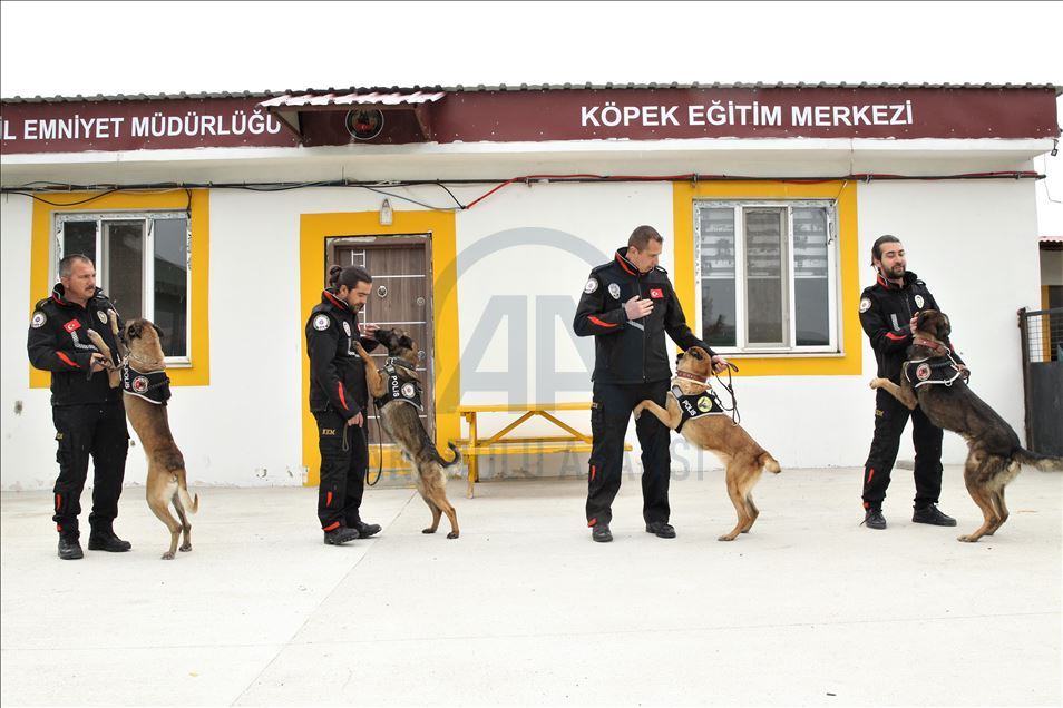 Narkotik köpeği "Bozu" uyuşturucuya geçit vermiyor