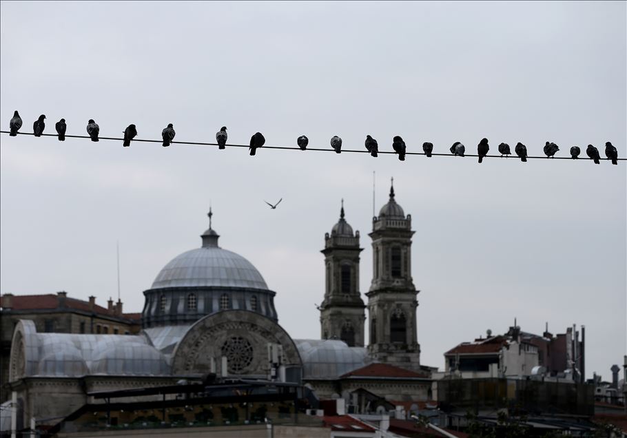 İstanbul'un simge meydanlarının tek sakini güvercinler