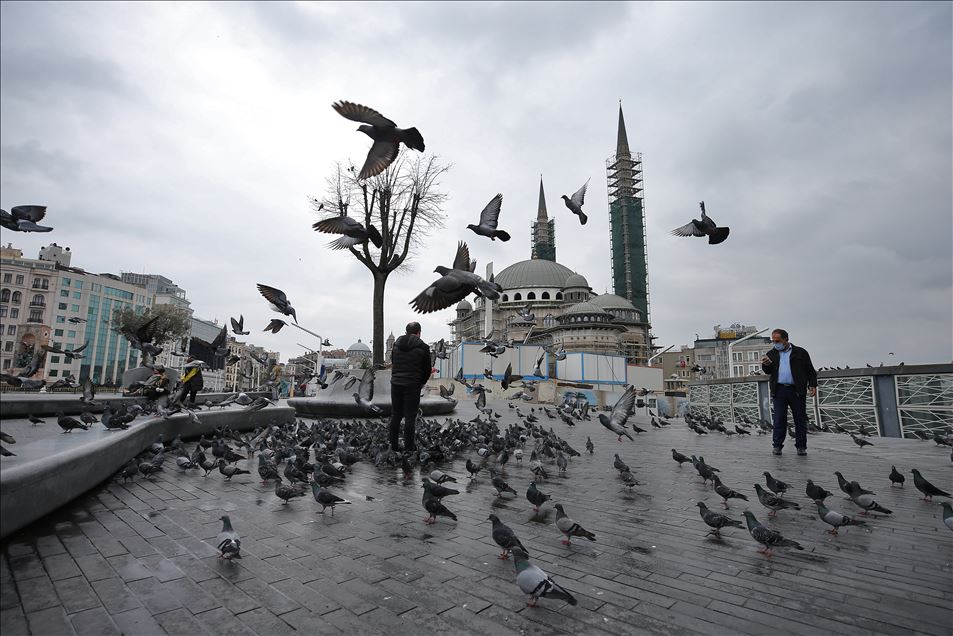 İstanbul'un simge meydanlarının tek sakini güvercinler