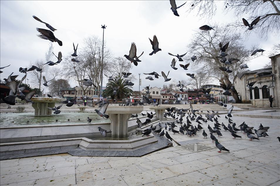 İstanbul'un simge meydanlarının tek sakini güvercinler