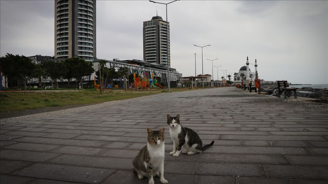 Hatay'da 'koronavirüs sessizliği'